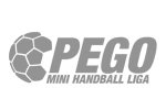 pego mini liga